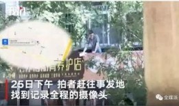 最新台风爆料新闻视频播放,揭秘风暴眼下的紧急应对与实时播报